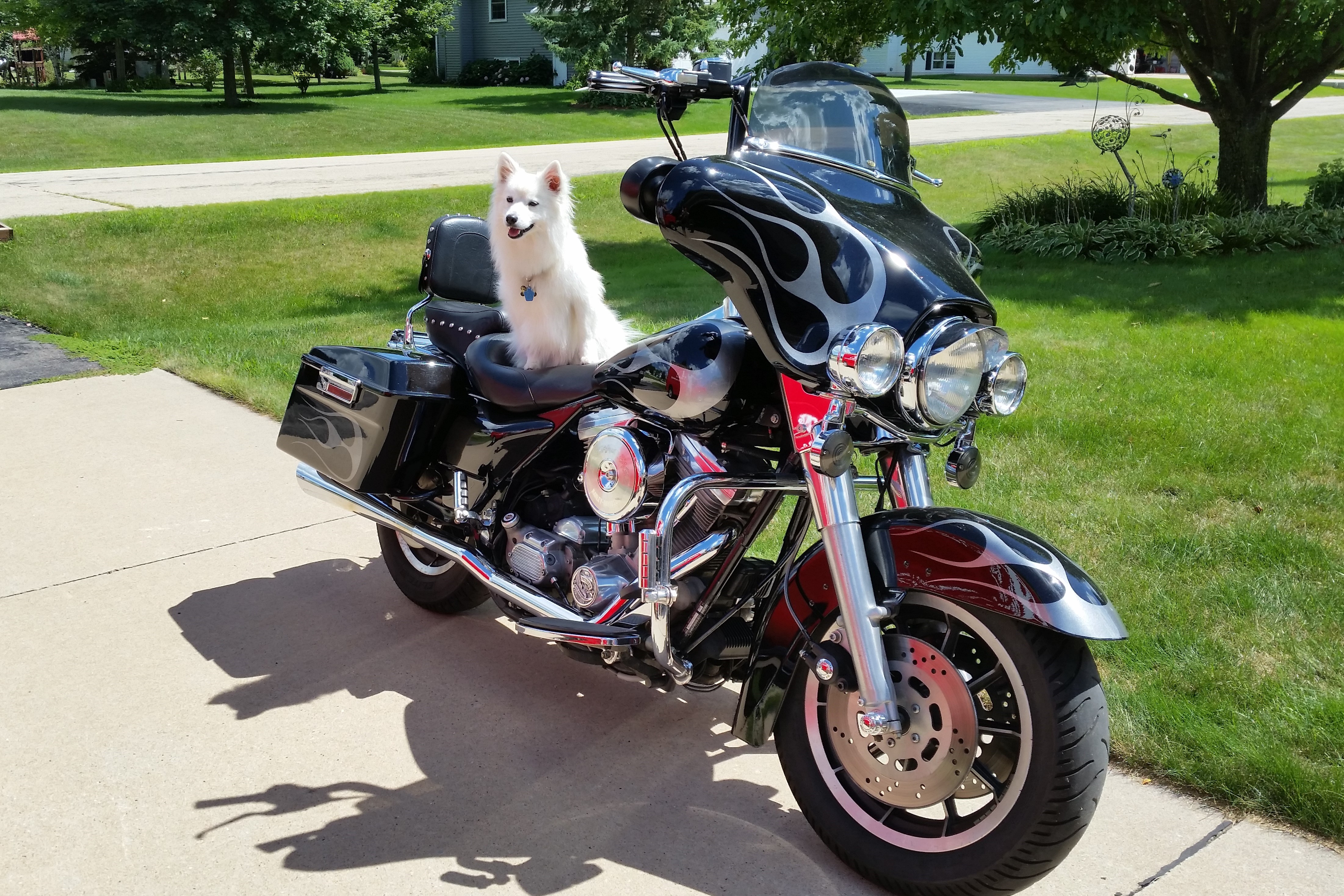 1997 electra glide standard