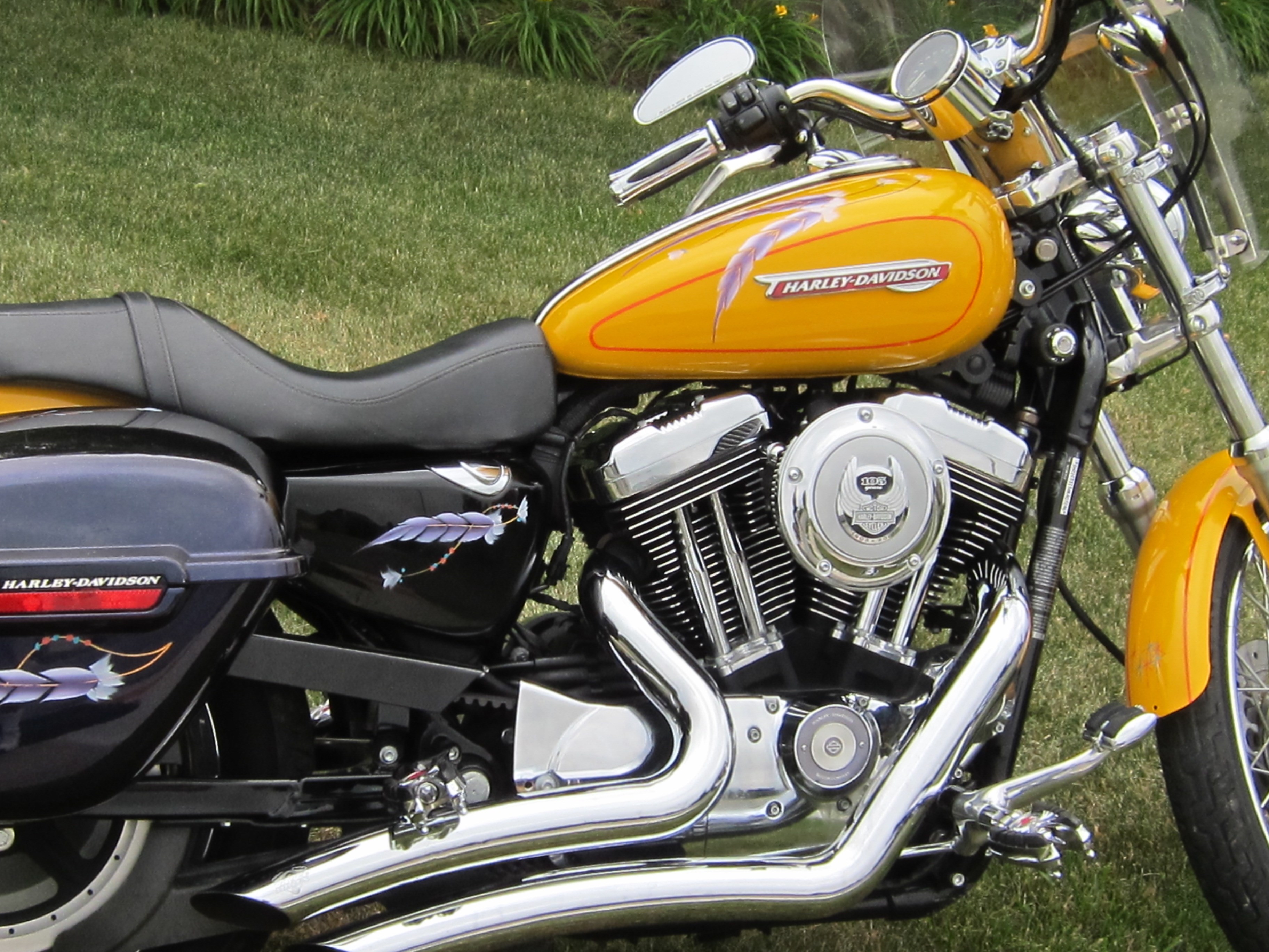 2008 HarleyDavidson® XL1200C Sportster® 1200 Custom (Sunset Yellow