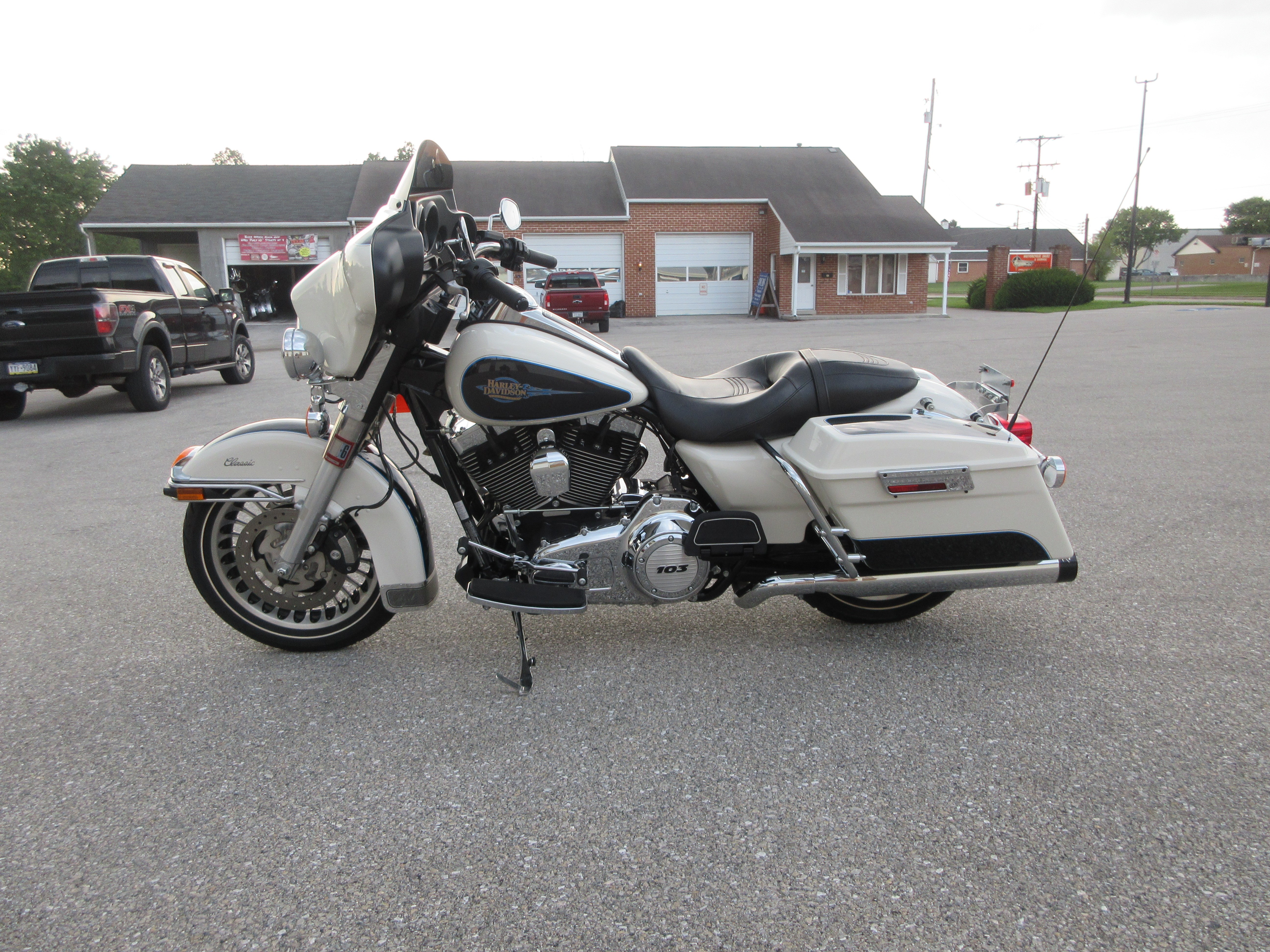 harley birch white