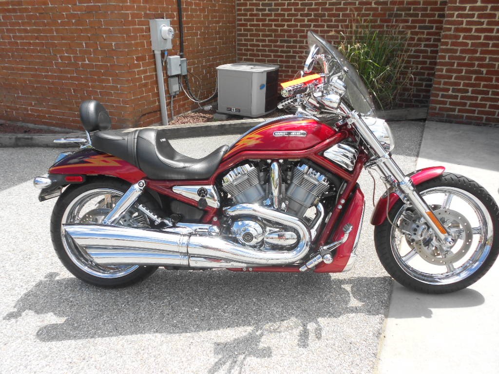View the Three V-Rods In Stock Now