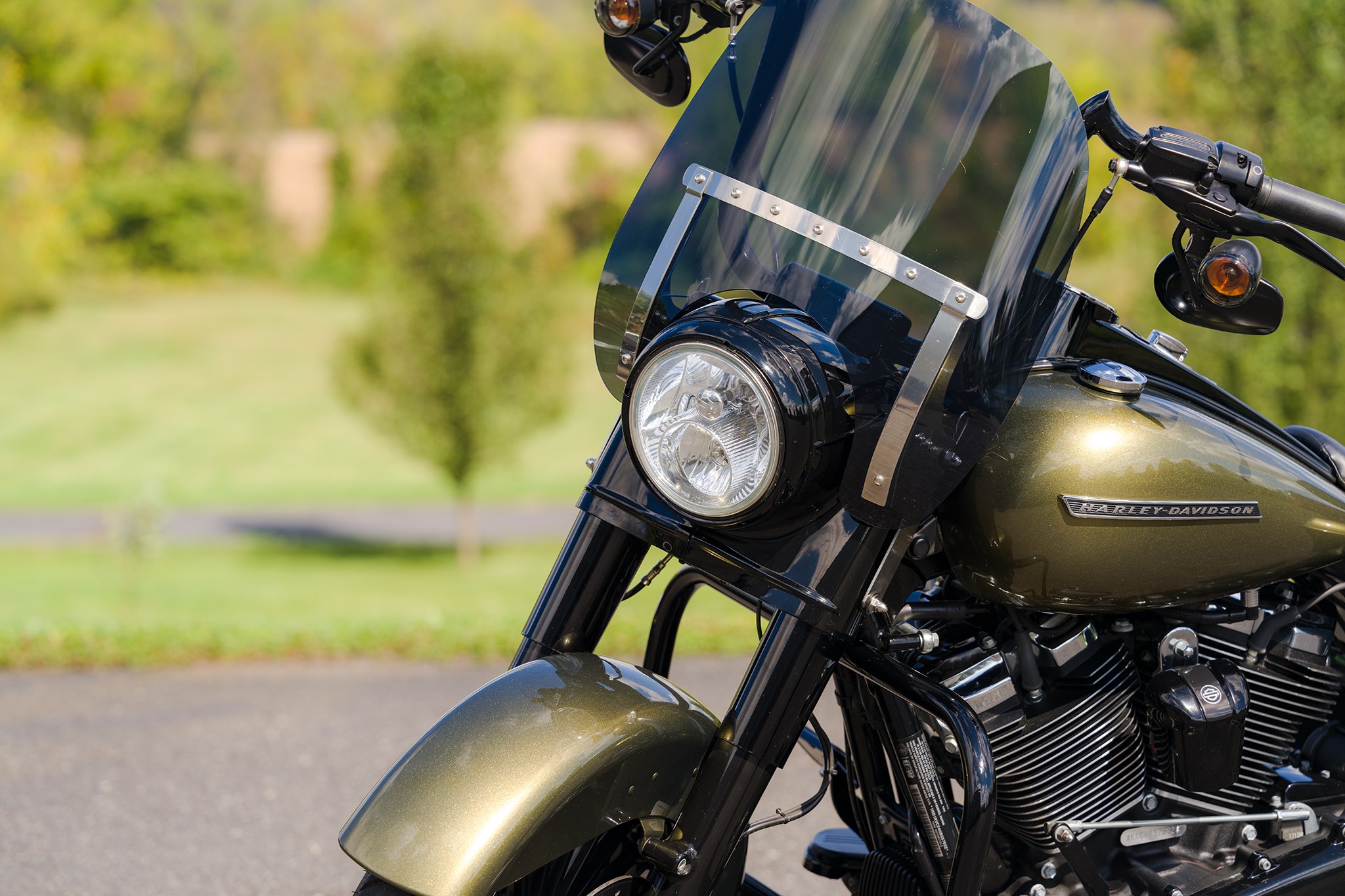 harley olive gold paint