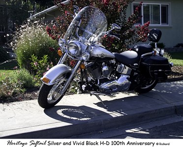 Used 2003 Harley-Davidson® Softail® Standard Anniversary