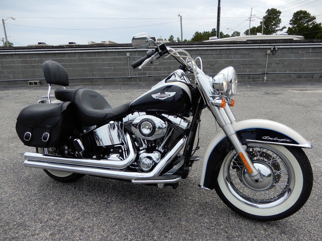 harley birch white