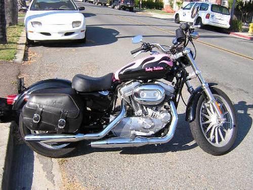 2005 Harley-Davidson® XL883L Sportster® 883 Low for Sale in san