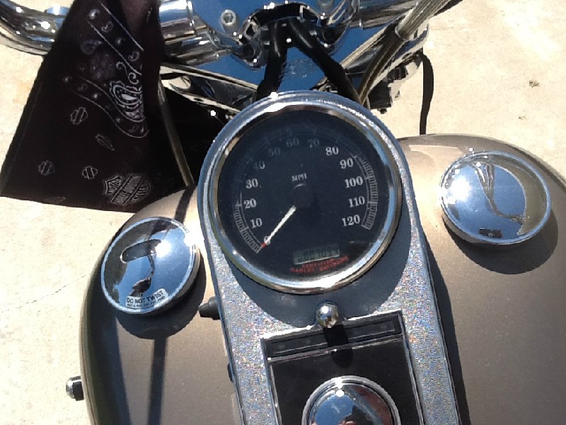 2004 Harley-Davidson® FLSTC/I Heritage Softail® Classic (Gold and black