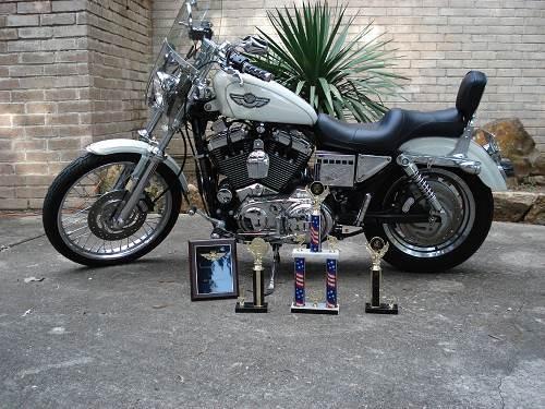 sissy bar sportster 1200 custom