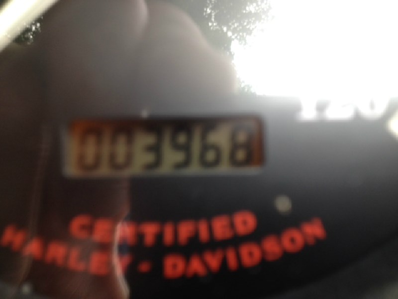 harley davidson 5000 mile service cost