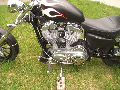 2004 Harley-Davidson® XLH-883 Sportster® 883 (Satin black with white
