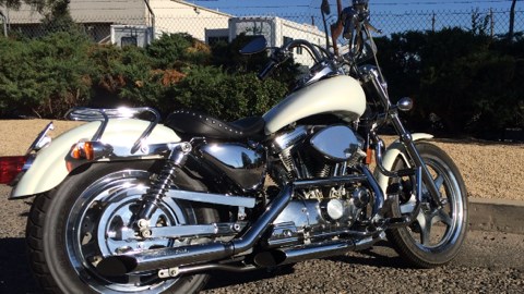 1998 Harley-Davidson® XLH-883 Sportster® 883 for Sale in Reno, NV (Item