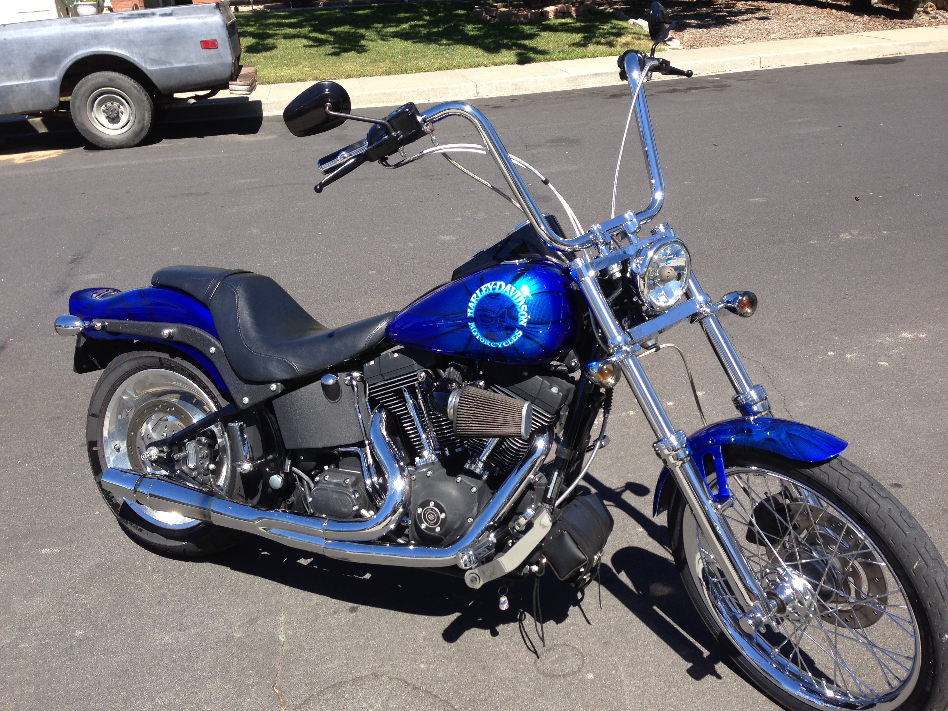 HARLEY DAVIDSON Blue flame ルーニーチューンズ HARLEY DAVIDSON Blue flame ルーニーチューンズ