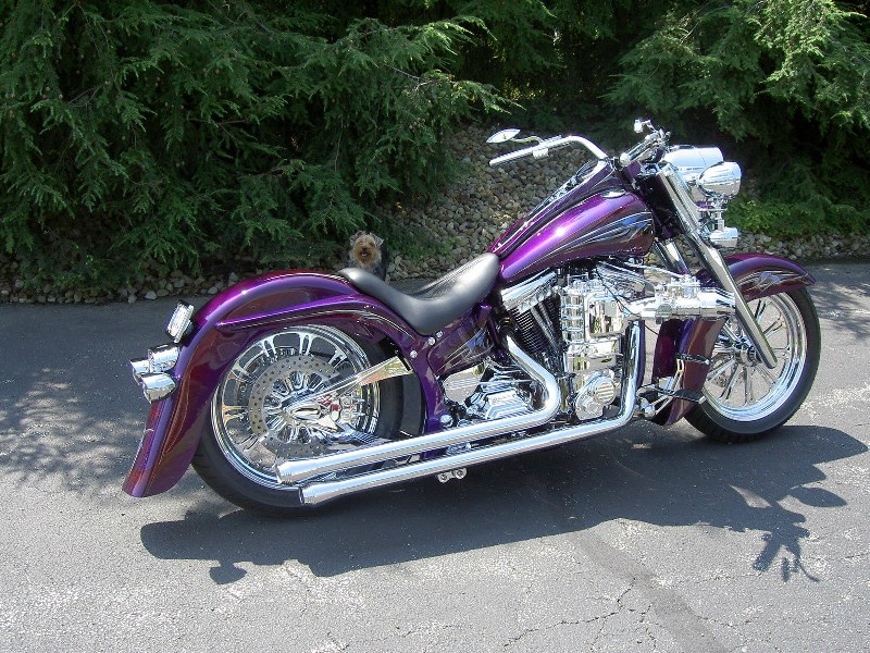 1996 Harley-Davidson® Custom for Sale in Canfield, OH (Item 448990)
