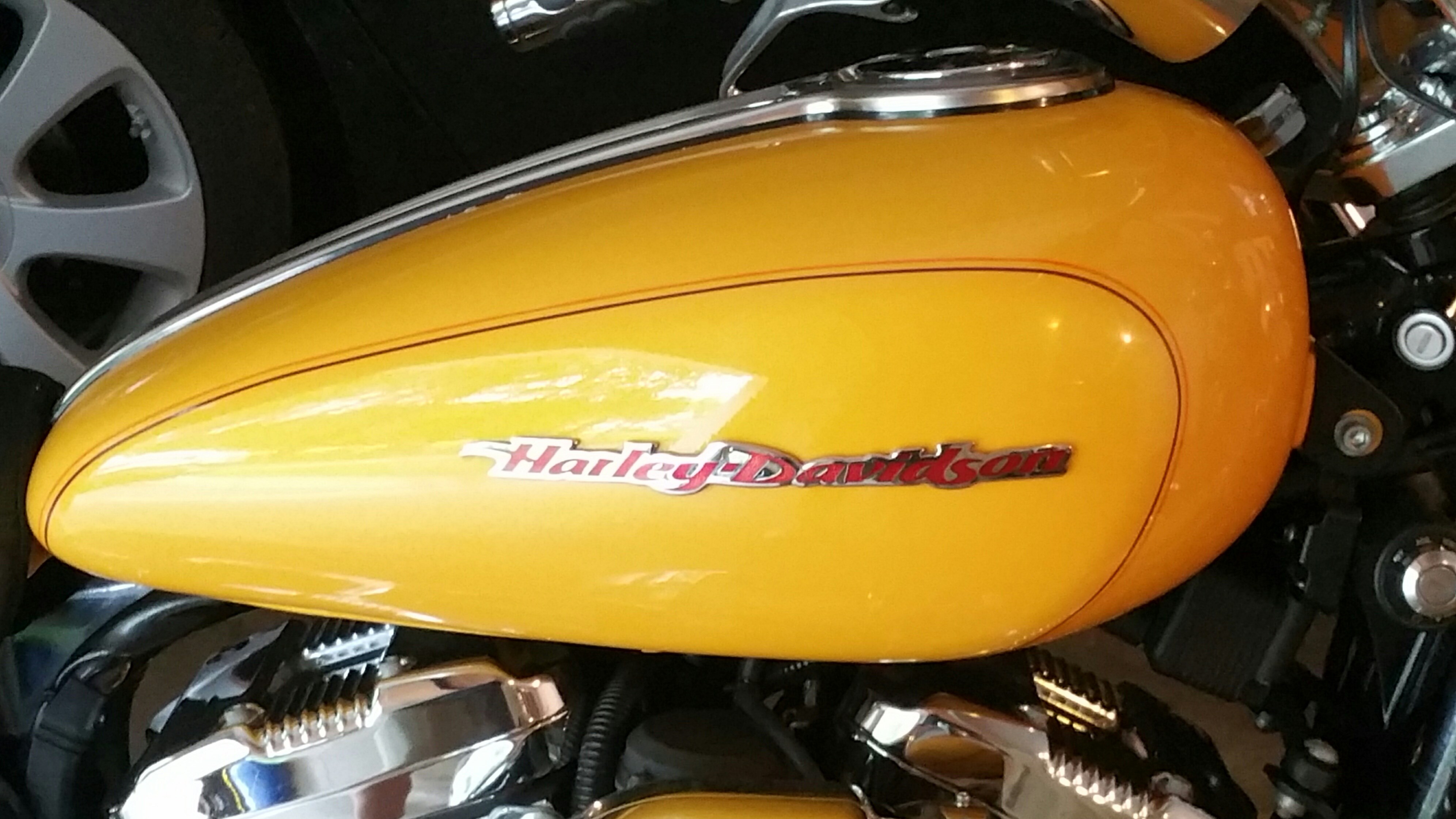 2006 HarleyDavidson® XL1200C Sportster® 1200 Custom for Sale in Exeter