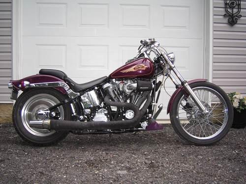 1997 Harley-Davidson® FXSTC Softail® Custom for Sale in scotrun, PA ...