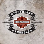 Southern Thunder Harley-Davidson's Logo