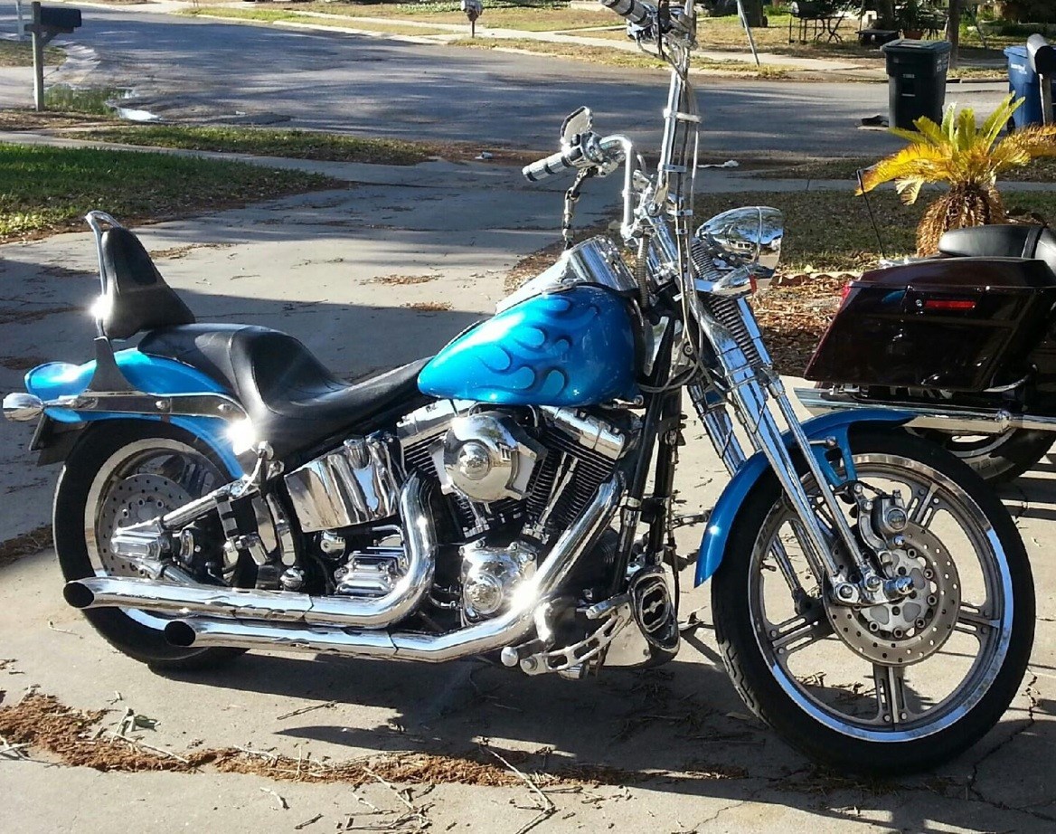 2002 Harley-Davidson® FXST/I Softail® Standard for Sale in Corpus
