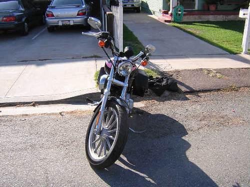 2005 Harley-Davidson® XL883L Sportster® 883 Low for Sale in san