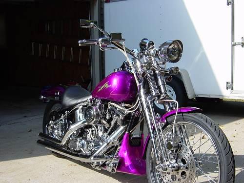 トラ hanes Harley Davidson purple flame Pink and Purple