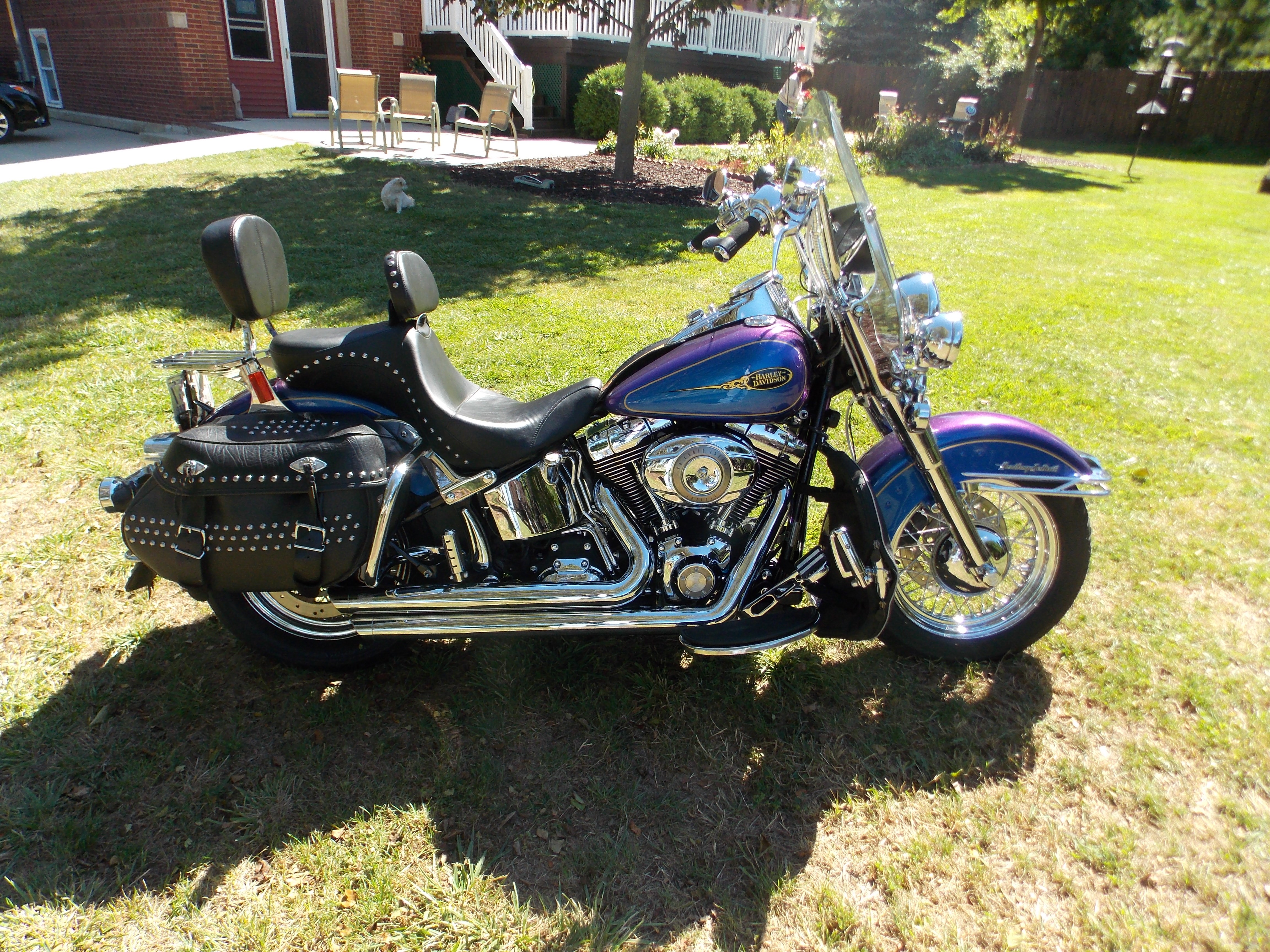 2009 HarleyDavidson® FLSTC Heritage Softail® Classic for Sale in WI (Item 398614)