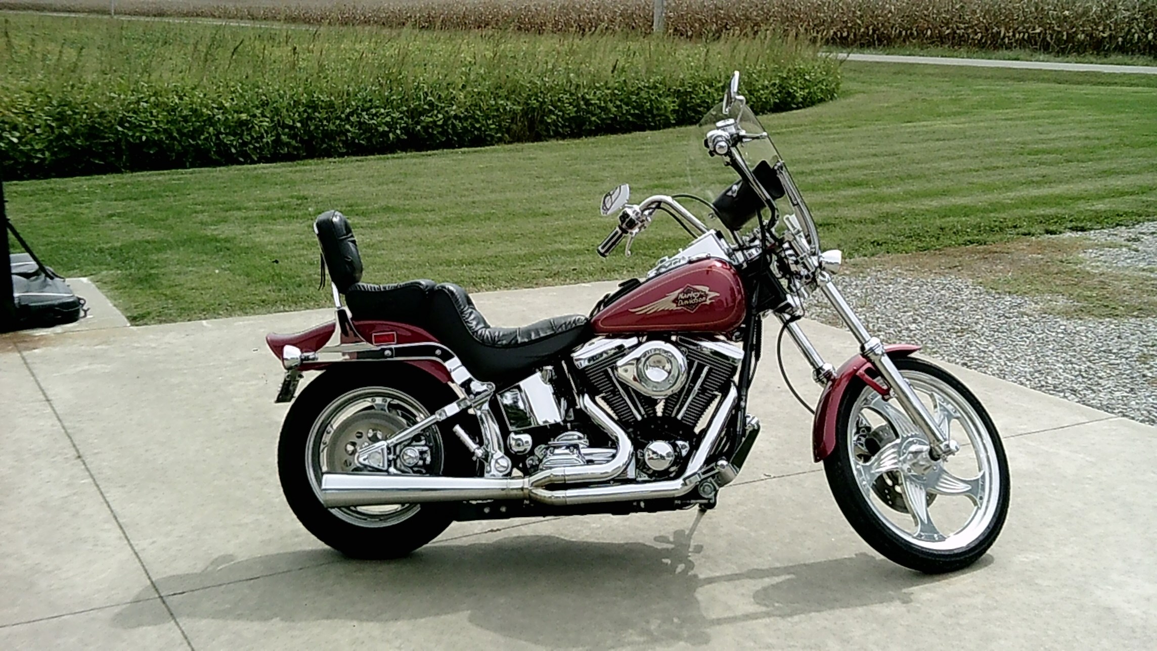 1998 HarleyDavidson® FXSTC Softail® Custom for Sale in Vergennes, IL