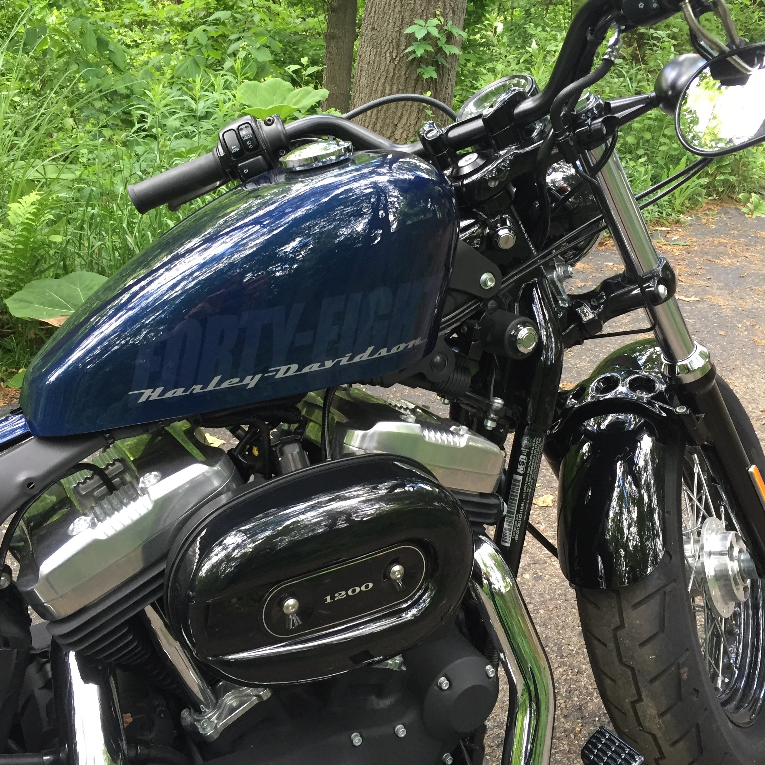 HARLEY-DAVIDSON ブレーキキャリパー XL1200S 2002 2002 HARLEY DAVIDSON XL1200C SPORTSTER 1200 CUSTOM