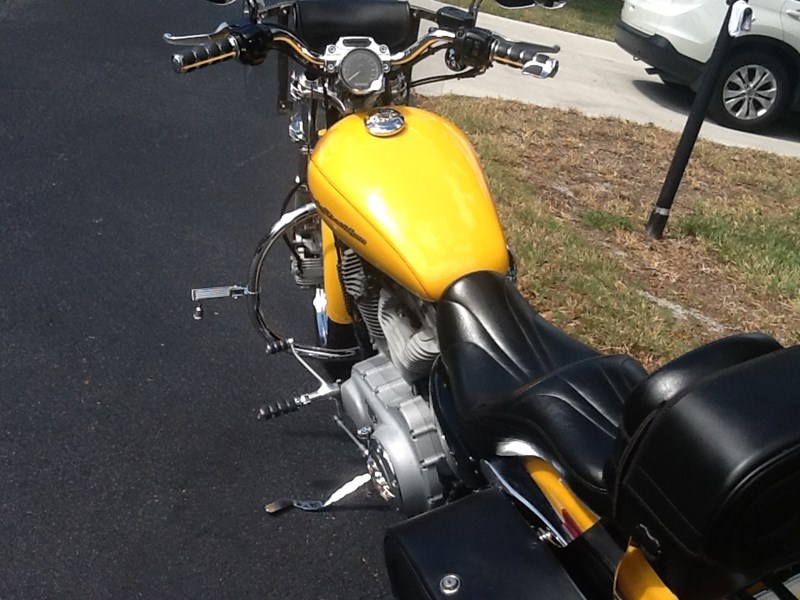 2005 Harley-Davidson® XL883C Sportster® 883 Custom for Sale in Punta