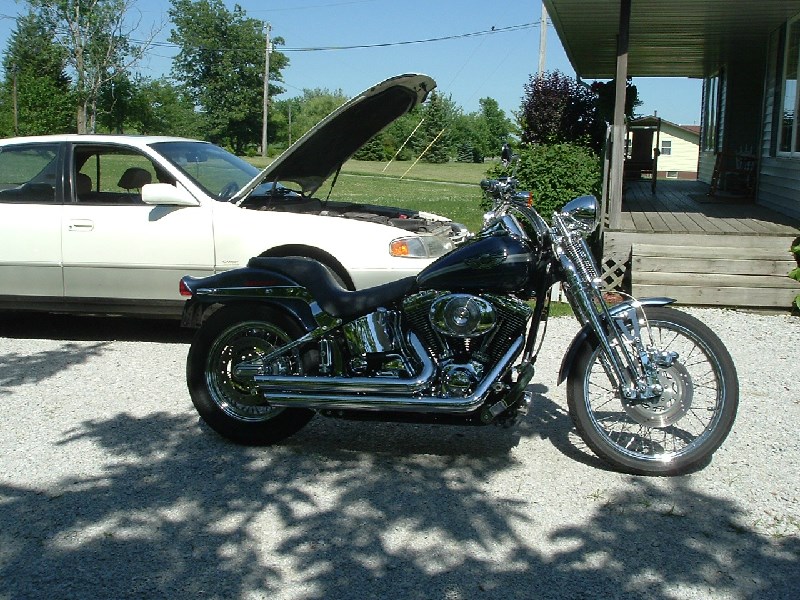 2003 HarleyDavidson® FXSTSANV Springer® Softail® Anniversary for Sale in North Judson, IN