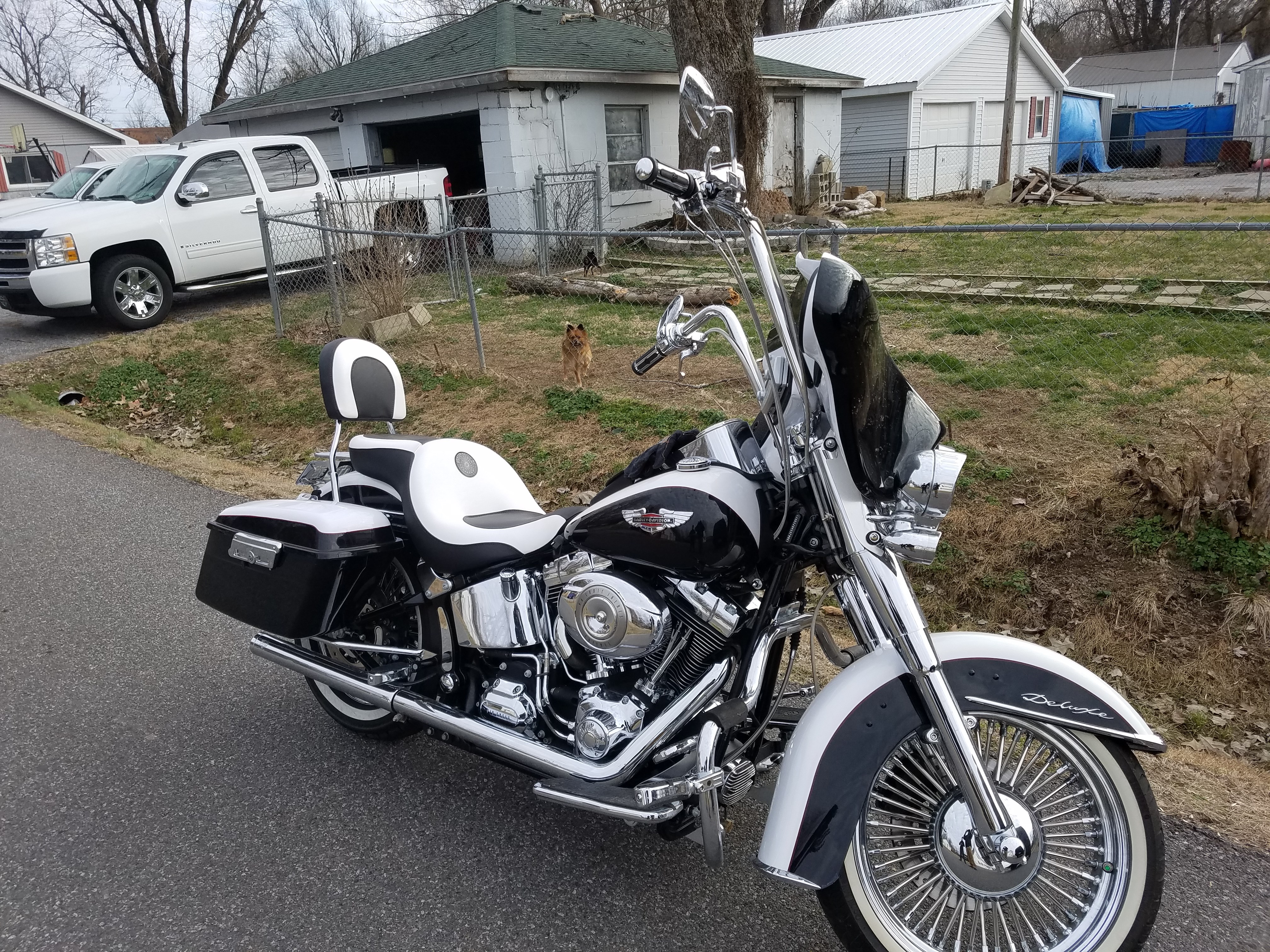 2007 Harley-Davidson® FLSTN Softail® Deluxe for Sale in Paducah