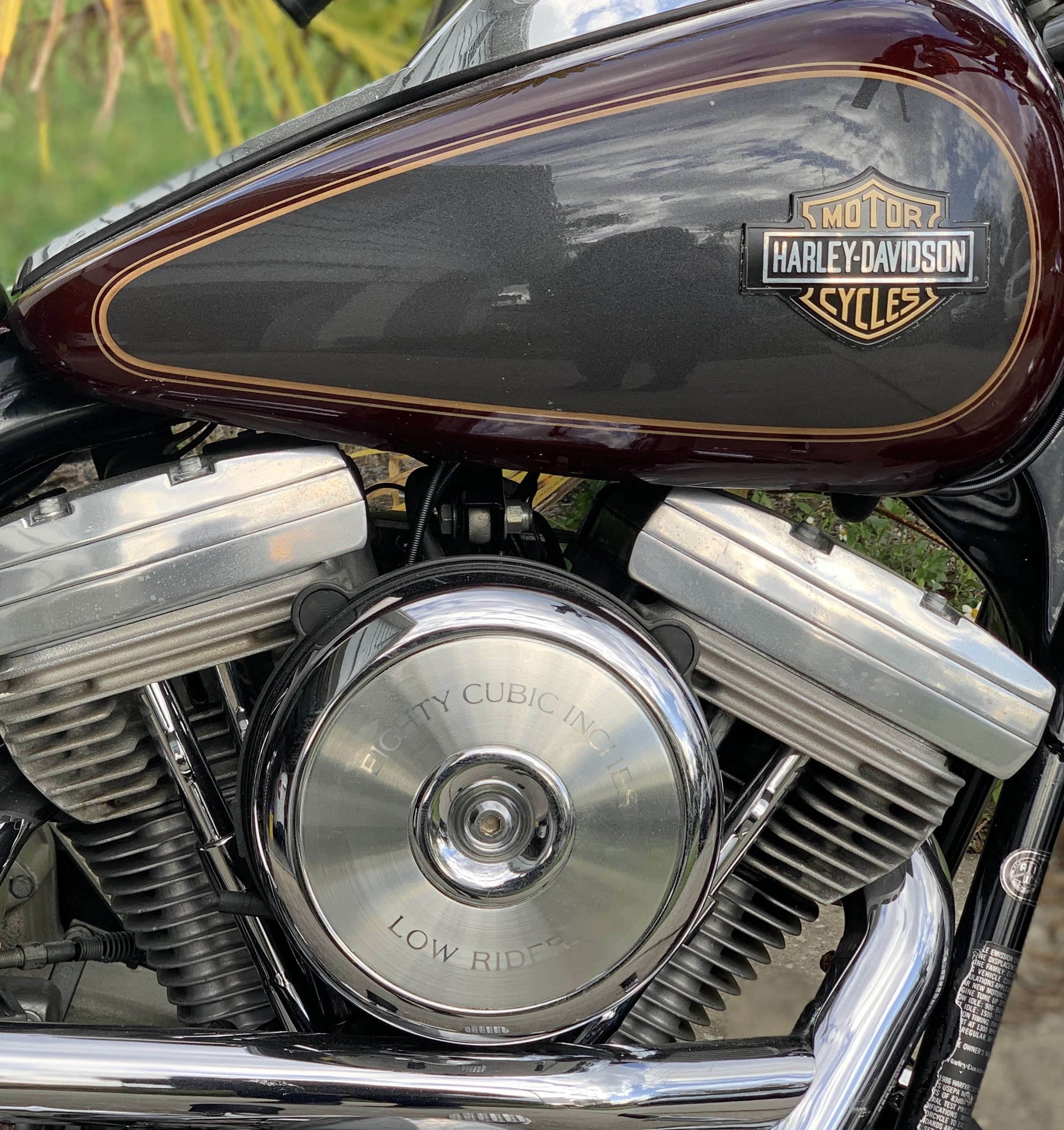 1986 Harley-Davidson® FXRS Low Rider® for Sale in Plant City , FL (Item ...