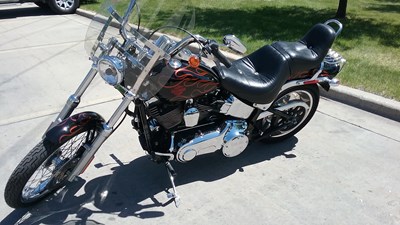 harley davidson softail for sale