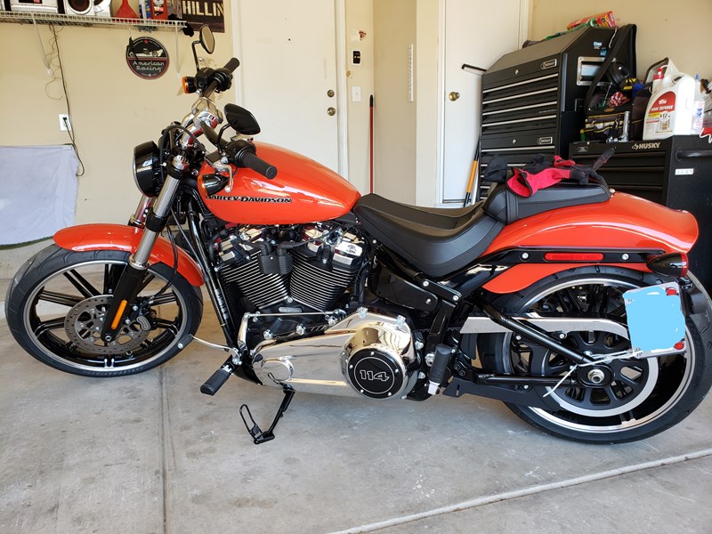 2020 HarleyDavidson® FXBRS Breakout® 114 for Sale in