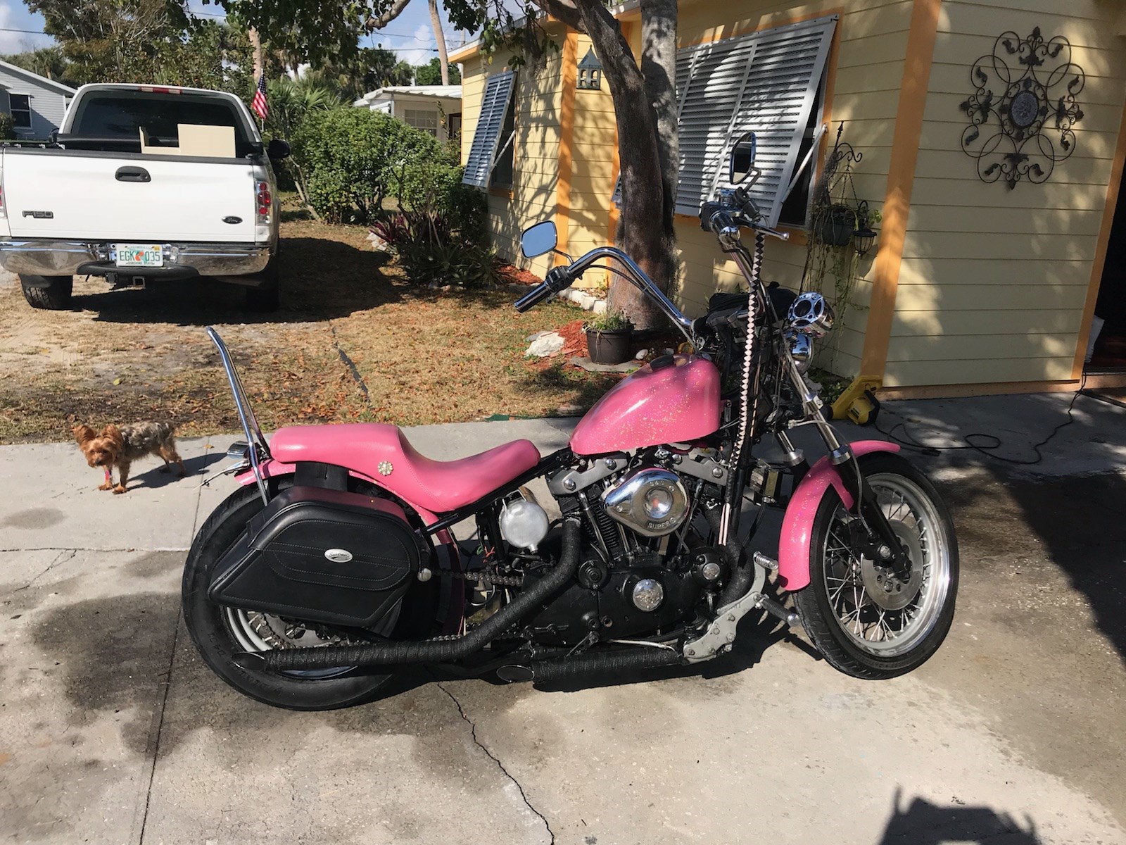 1980 Harley-Davidson® XLH-1000 Sportster® 1000 for Sale in Jensen