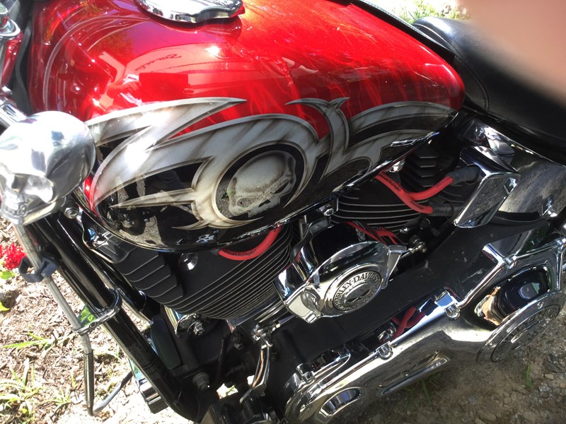 2010 Harley-Davidson® FXSTC Softail® Custom for Sale in Concord, NH