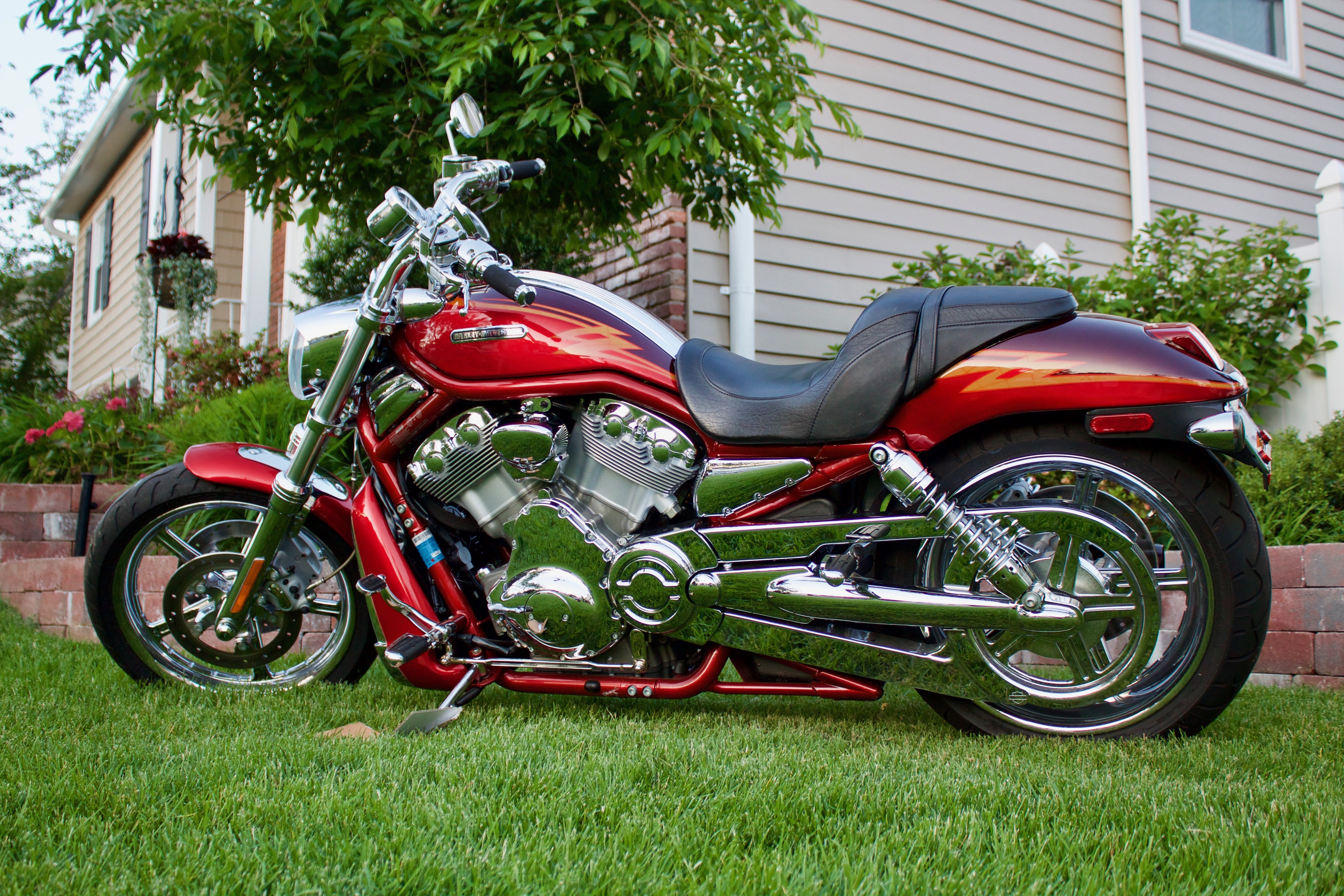 2005 HarleyDavidson® VRSCSE Screamin' Eagle® VRod® for Sale in