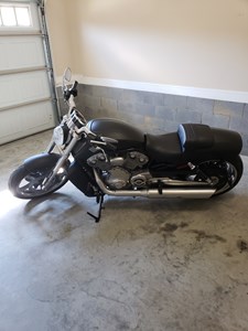 Used 2016 Harley-Davidson® V-Rod® Muscle