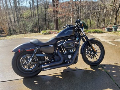 used harley sportster