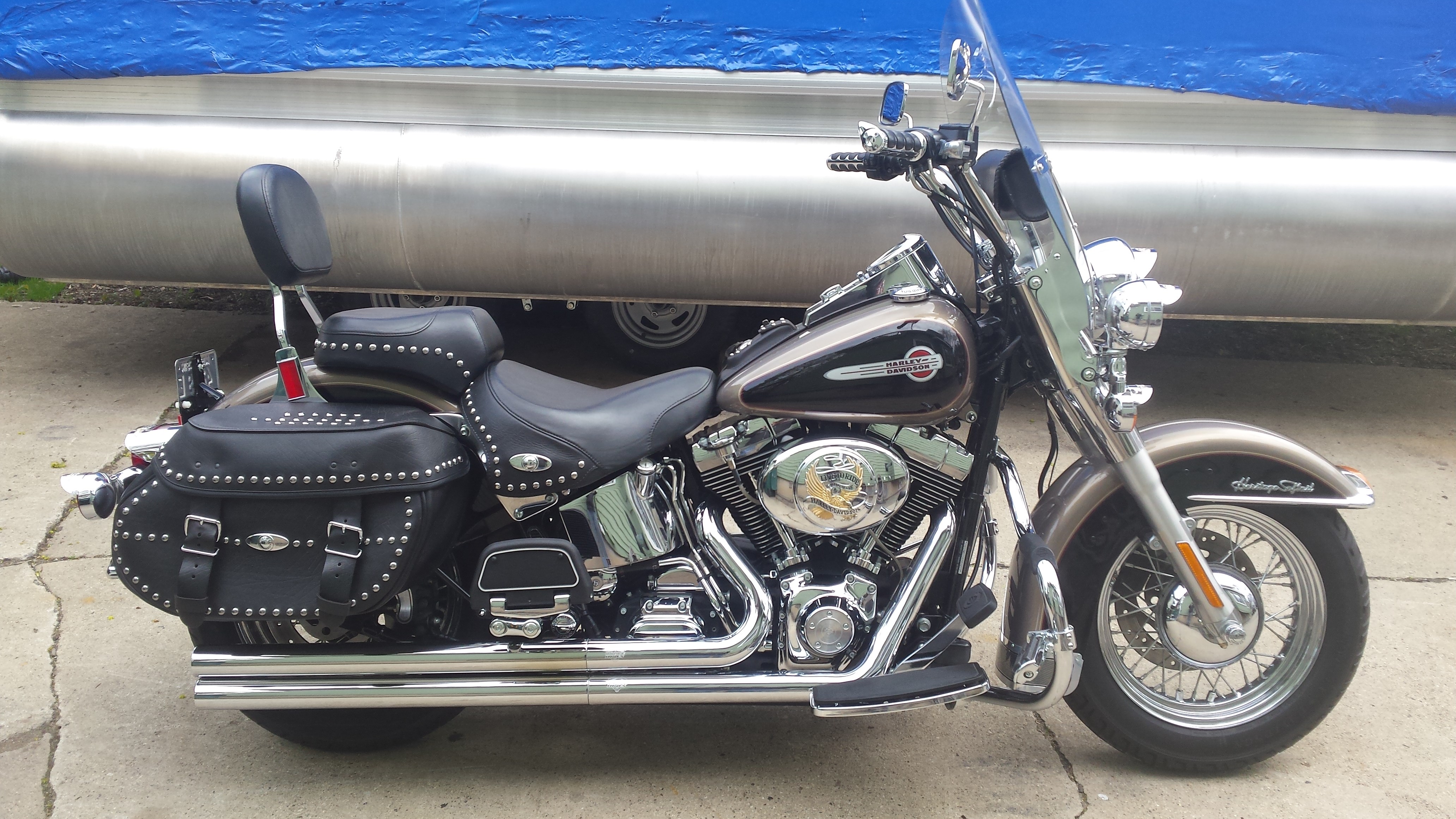 2004 Harley-Davidson® FXST/I Softail® Standard for Sale in beaver