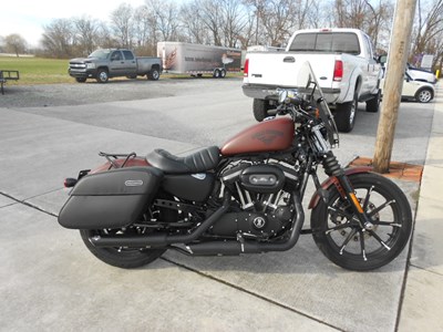 Used 2017 Harley-Davidson® Sportster® Iron 883™