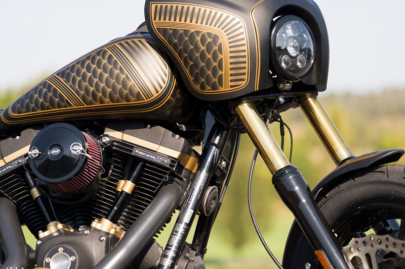 Dyna® Low Rider® S