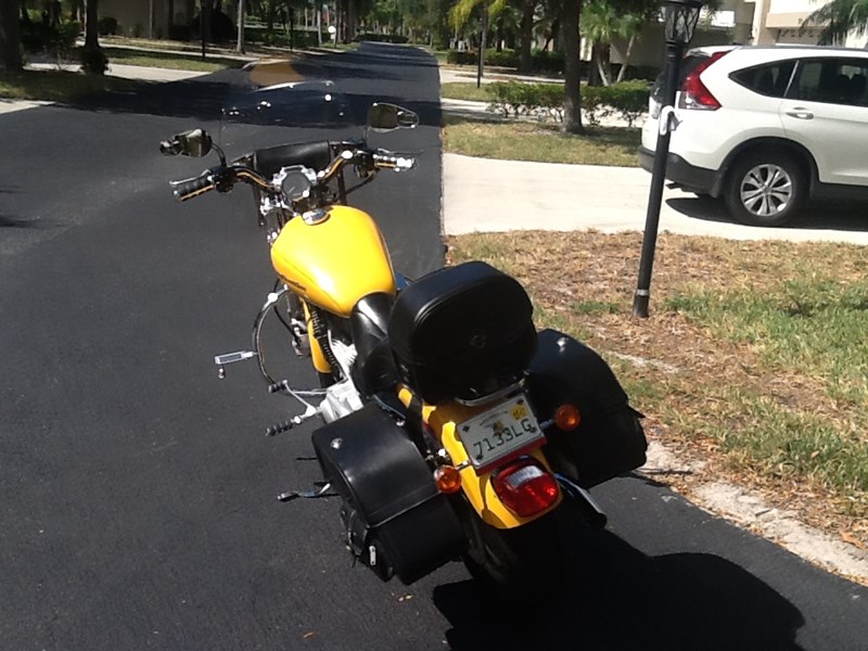 2005 Harley-Davidson® XL883C Sportster® 883 Custom for Sale in Punta