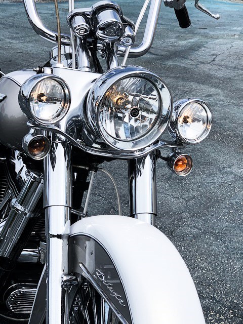 2009 Harley-Davidson® FLSTN Softail® Deluxe (White / Silver), Fort