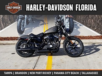 New 2019 Harley-Davidson® Sportster® Iron 883™