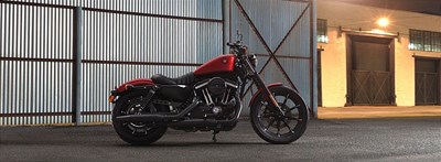 New 2019 Harley-Davidson® Sportster® Iron 883™
