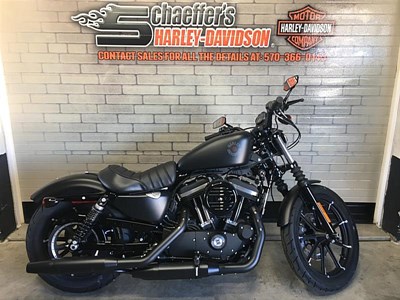 New 2019 Harley-Davidson® Sportster® Iron 883™