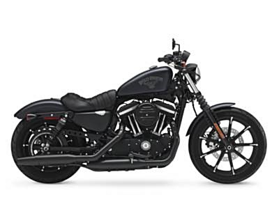 Used 2017 Harley-Davidson® Sportster® Iron 883™