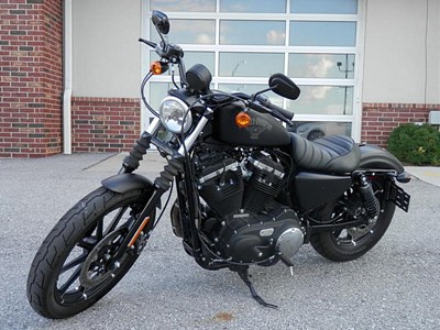 Used 2017 Harley-Davidson® Sportster® Iron 883™