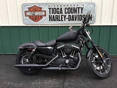 New 2019 Harley-Davidson® Sportster® Iron 883™