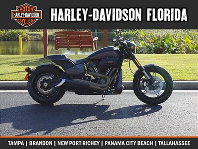 New 2019 Harley-Davidson® Softail® FXDR™ 114