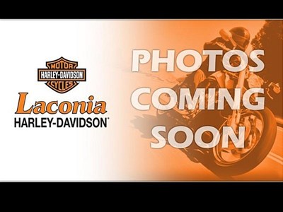 New 2019 Harley-Davidson® Sportster® Forty-Eight®