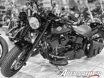Used 2017 Harley-Davidson® Softail® Slim® S