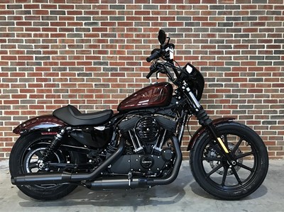New 2019 Harley-Davidson® Sportster® Iron 1200™